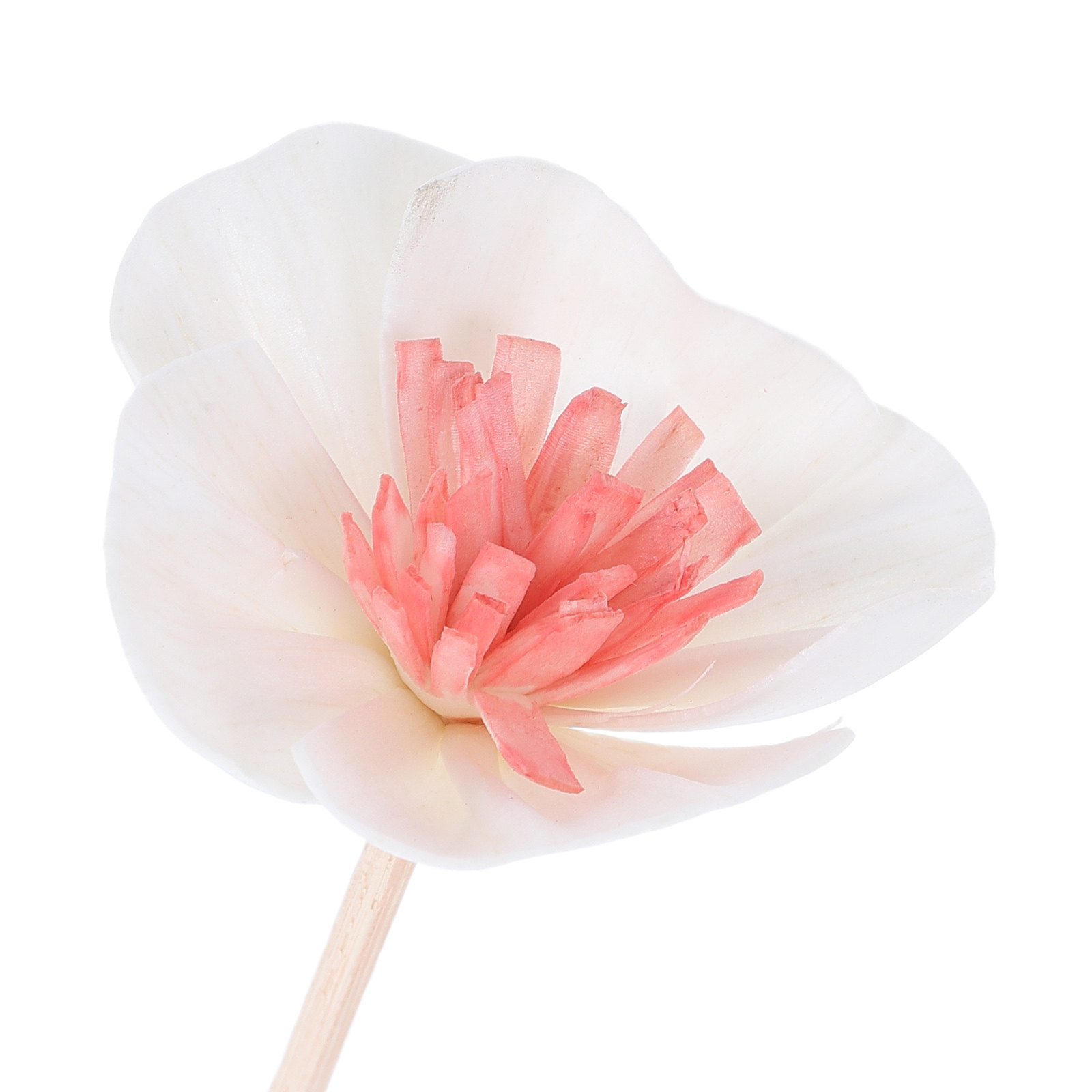 10 шт. черных многопористых фи – обзор и цена Home Fragrance And Diffuser